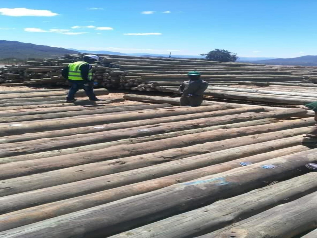 mbwewe filling building